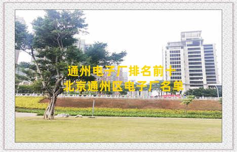 通州电子厂排名前十 北京通州区电子厂名单